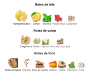 Club de Nuit Blue Iconic Armaf