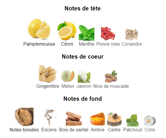 Club de Nuit Blue Iconic Armaf