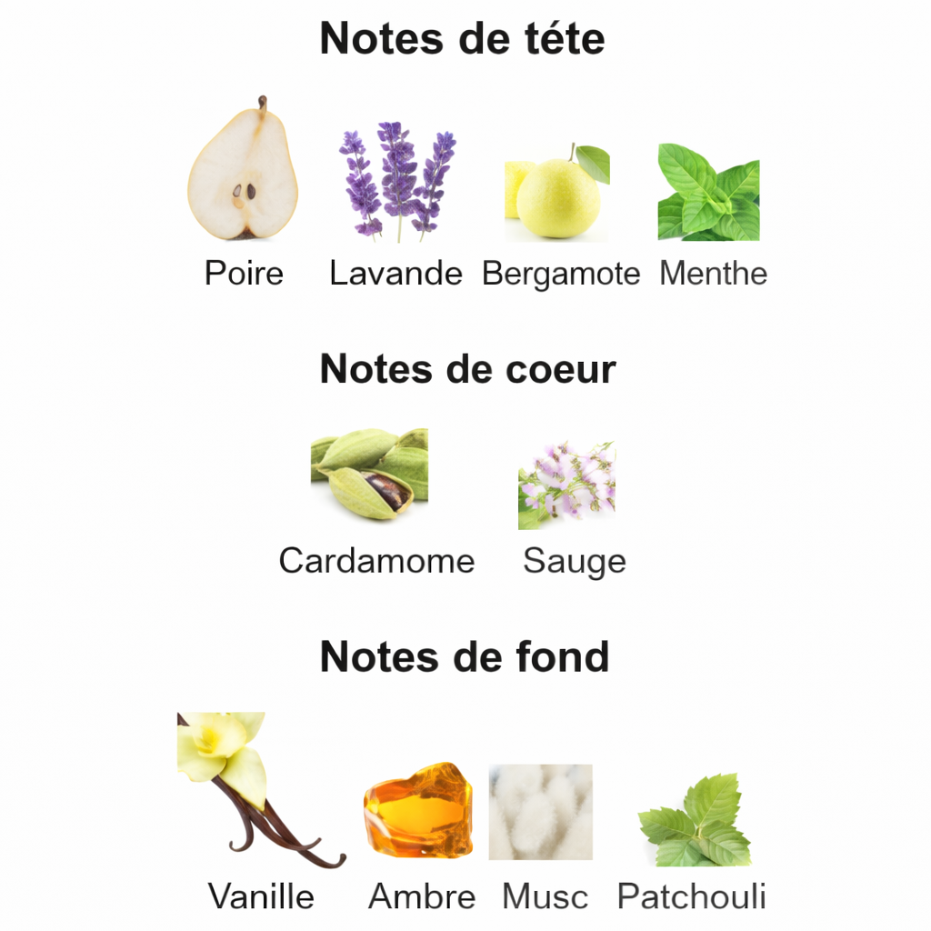 ChatGPT_Image_Jan_11_2026_03_15_14_PM.png