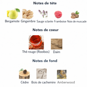 Dynasty – Lattafa Perfumes
