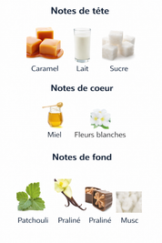 Éclaire – Lattafa Perfumes